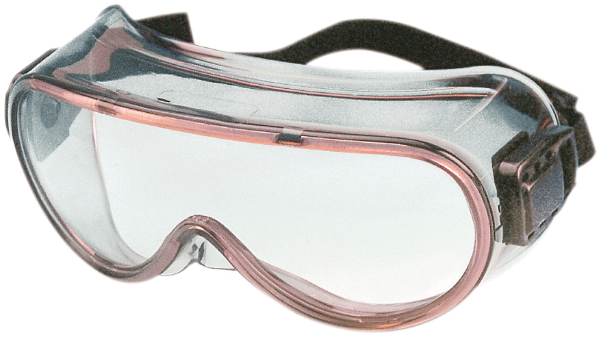 MSA Perspecta GH3001 ruimzichtbril