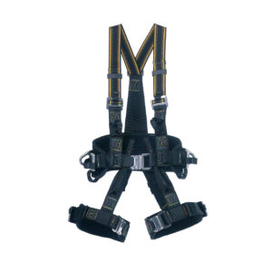 Honeywell RM harnas 10034389